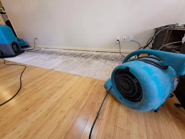Professional Structural Drying technician working in Columbus, KS